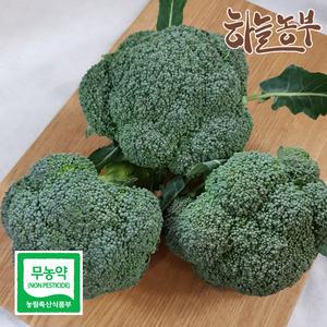 하늘농부 친환경 브로콜리 1입 브로컬리