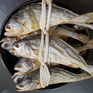 영광 보리굴비 31cm 10미 특대