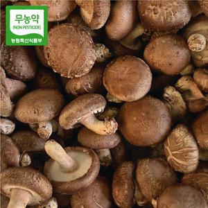 전남 장흥 대표 표고버섯 무농약 친환경 가정용 2kg