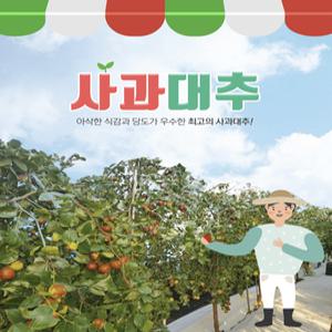 2025년 달콤신선 사과대추.왕대추 2kg 중.대.특 선택