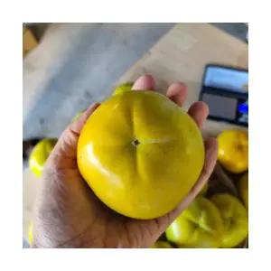 2025년 아삭아삭 시원한 태추 단감 5kg 배단감