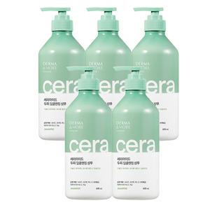 더마앤모어 세라마이드 두피 딥 클렌징 샴푸 600ml x5개