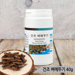 열풍건조 벼메뚜기 40g 고단백질 간식 소동물 앵무새