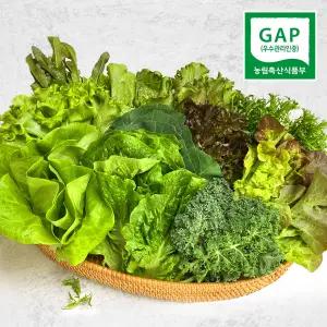 [프리본] GAP 인증 멋진농부 유럽피안 샐러드 쌈채소 혼합 600g
