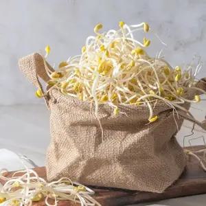 무농약 아삭한 산소콩나물 2kg