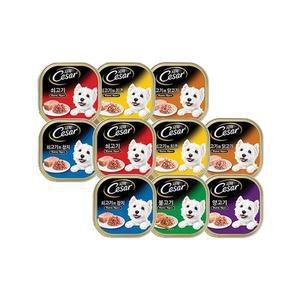 시저 트레이 버라이어티팩100g x 12팩