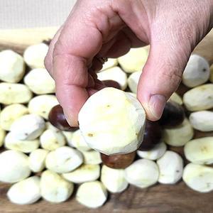 공주 옥광밤 깐밤 특 500g