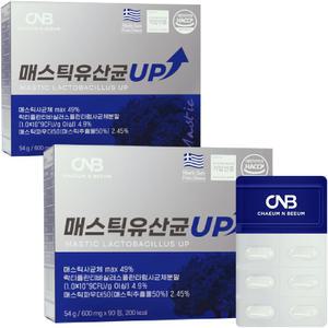 매스틱 유산균 식약처 HACCP 인증 매스틱검 분말 정 90정