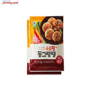 [보금푸드] 대림선 육즙팡 동그랑땡 300g 2개