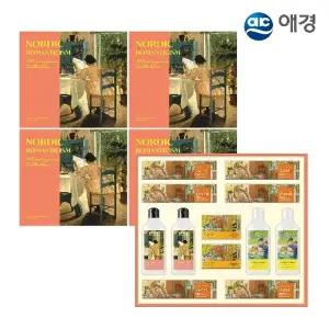 [애경] 한아름 4호 선물세트 X 4개 (손잡이케이스/ 샴푸2+바디워시2+치약6+클렌징바2)