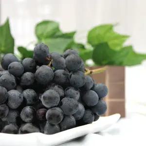 [이베따]가을 포도 머루포도 3kg(특) 우체국발송 (실중량)