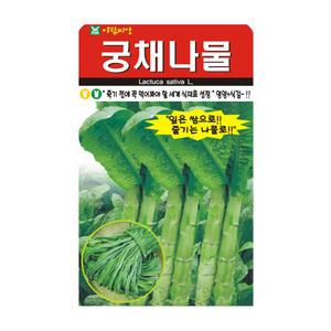 슬로시 상추씨앗 궁채나물 뚱채 500립 씨앗 아람