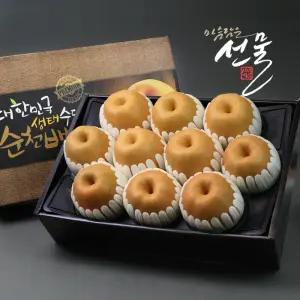 농협과일 순천배 선물세트 7.5kg 10과내