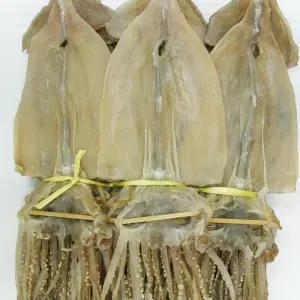 마른오징어 2.5kg(20미) 왕특대 건조오징어
