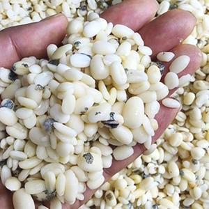국산 팥고물 인절미 송편소 만들기 거피팥 팥떡재료 1kg