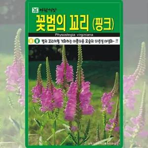 아람종묘 꽃범의꼬리 씨앗 100립 핑크 꽃범의꼬리 꽃씨 야생화 종자