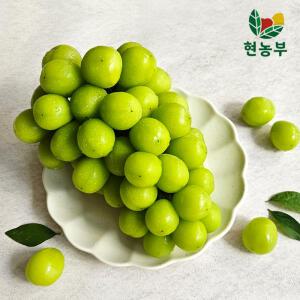 고당도 샤인머스켓 가정용 4kg (3~6수)