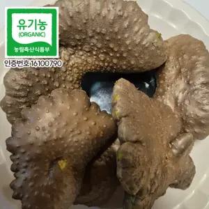 왕산농원 유기농재배 하늘마 열매마 우주마 1kg 2kg 3kg