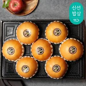[품질보장] 청년농부 나주배 특품 7.5kg (6-8과)