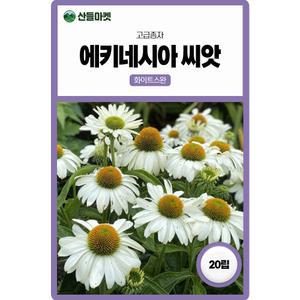 산들마켓 에키네시아 꽃 씨앗 20립 화이트스완 다년생 꽃씨 종자