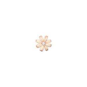 DAISLY 14K 귀걸이 (JJDAEQ5B3251R4P00)