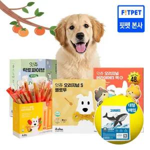핏펫 잇츄 덴탈껌 간식 대용량 모음전 강아지 양치껌 알러지 방지(+배변패드1매)