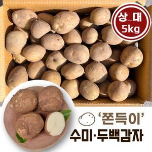 포슬포슬 쫀득이 햇 수미 두백 감자 (상_대) 5kg/개당 50~90g/4차선별 특등급