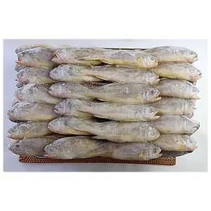 냉동 업소용 참조기 봉화 50-52미 3.5kg