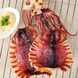 강영수산 반건조 오징어(특대왕)5미(1.2kg내외)