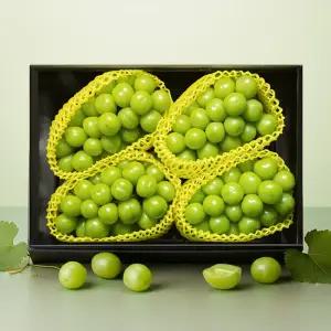 샤인머스캣 선물 세트 4kg (4-6수) 과일 명절 추석 설날 연말