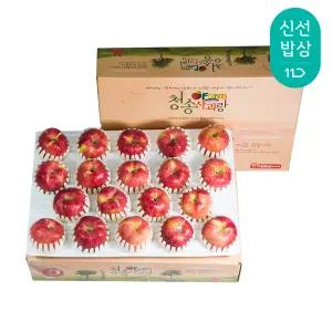 청송사과 정품 4kg 19-21/소과/팬캡포장 /홍로 햇사과