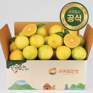[서귀포인정] 고당도 제주 프리미엄 황금향 2.5kg 4.5kg (실속형/선물용)