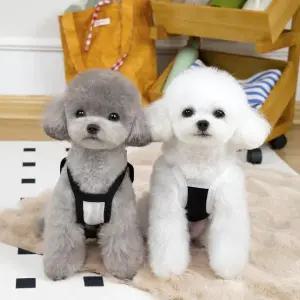 강아지 블랙앤화이트 여름 민소매 리본 나시티 GAB03637 (WFK3031)