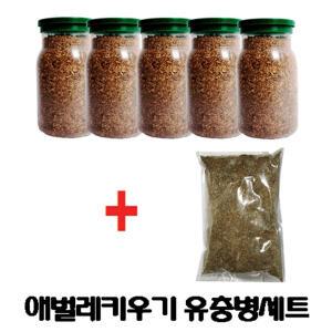 애벌레키우기 유충병세트-톱밥채운 5병+영양톱밥1봉