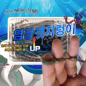 [블루앤피쉬] 염장 갯 지렁이/바다 원투 볼락,우럭