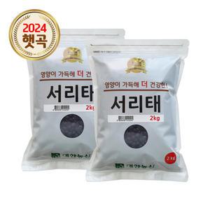 국산 서리태 4kg (2kgx2) 24년산 검정콩 검은콩