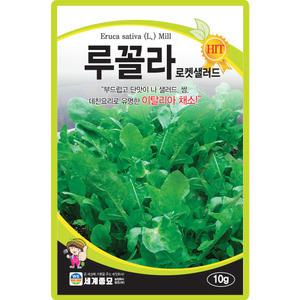 세계종묘 루꼴라 씨앗 10g 로켓샐러드 루꼴라씨 이탈리아 채소 종자