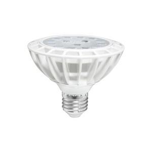 포커스 LED PAR30 15W 집중형 전구색 다운라이트 보조등 갤러리 백화점 의류매장 실내 천장 매입 스팟전구