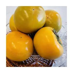 아삭아삭 국내산 부유 단감 2kg 2.5kg 5kg 햇 진영 감