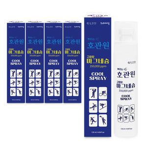 호관원 뿌리는 고함량 마그네슘 스프레이 5개