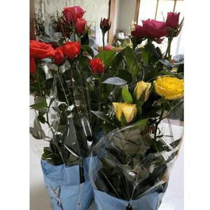 미니사계장미 2개세트 색상랜덤 장미 꽃모종 정원 조경화 야생화