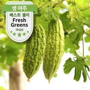 국내산 생여주 5KG 10KG 햇 여주 고과 비터멜론 bitter melon