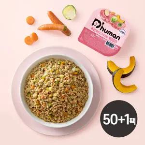 듀먼 강아지 자연화식 돼지고기 채소 오리지널 50g 50+1팩