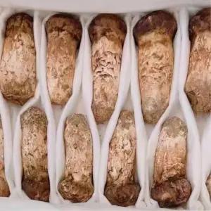 추석선물세트 명절선물 자연산 송이버섯 1품 500g