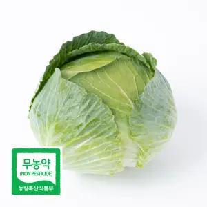 초록초록팜 무농약 친환경 양배추 3kg 2-3통 건강식 제철 채소 야채 슈퍼푸드 PS