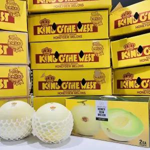 미국산 고당도 허니듀 메론 선물세트 2수 개당 2kg 이상