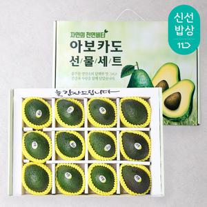 슈퍼푸드 하루한알 명품 아보카도 선물세트 12과