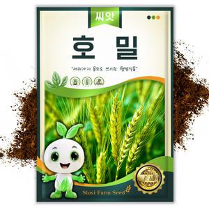슬로시 호밀씨앗 재배용 호밀씨 600g