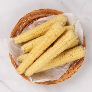 바로먹는 괴산대학 삶은(냉동) 찰옥수수 21개 (18cm내외)