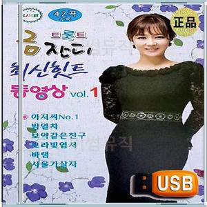 효도라디오용 차량용 노래칩 USB 트롯 트롯트 트로트 금잔디 최신힛트 동영상 모음집